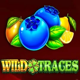 Play the Wild Traces slot by Amusnet Interactive on Betista Casino
